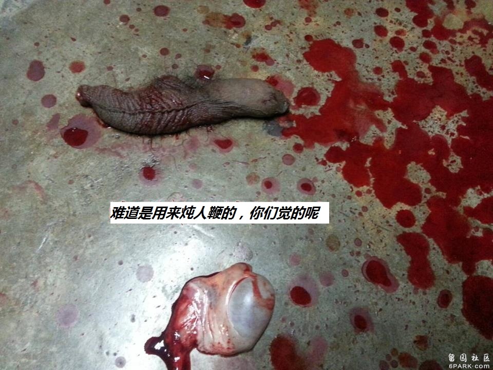 多元性别相关内容探讨